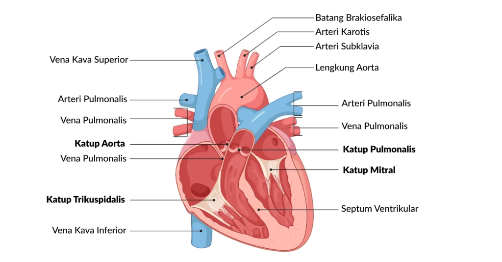 Fresh Water, Peaceful Heart: ABC RO Water Station in the Heart of Cilacap